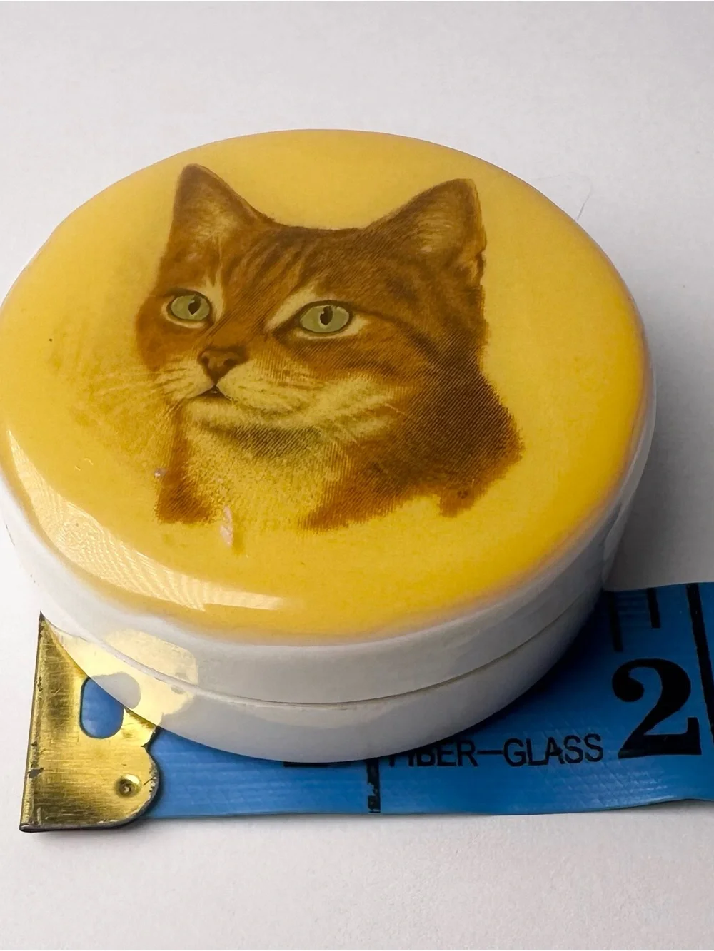Vintage Orange Ginger Tabby Cat Head Portrait Trinket Pill Box Divider Organizer